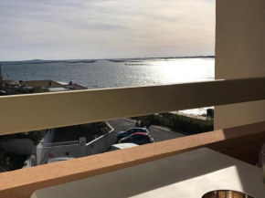 Appartement climatisé à Balaruc-les-Bains avec balcon, parking et animaux admis - FR-1-503-127